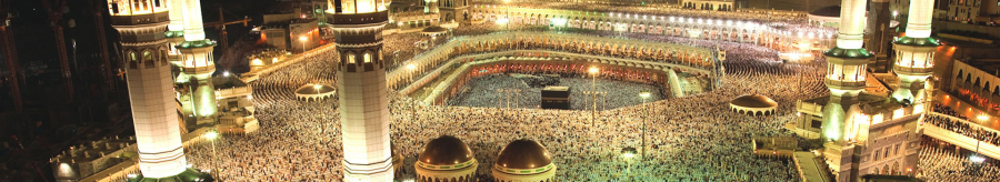 The High Rise of Umrah Pilgrimage Year by Year